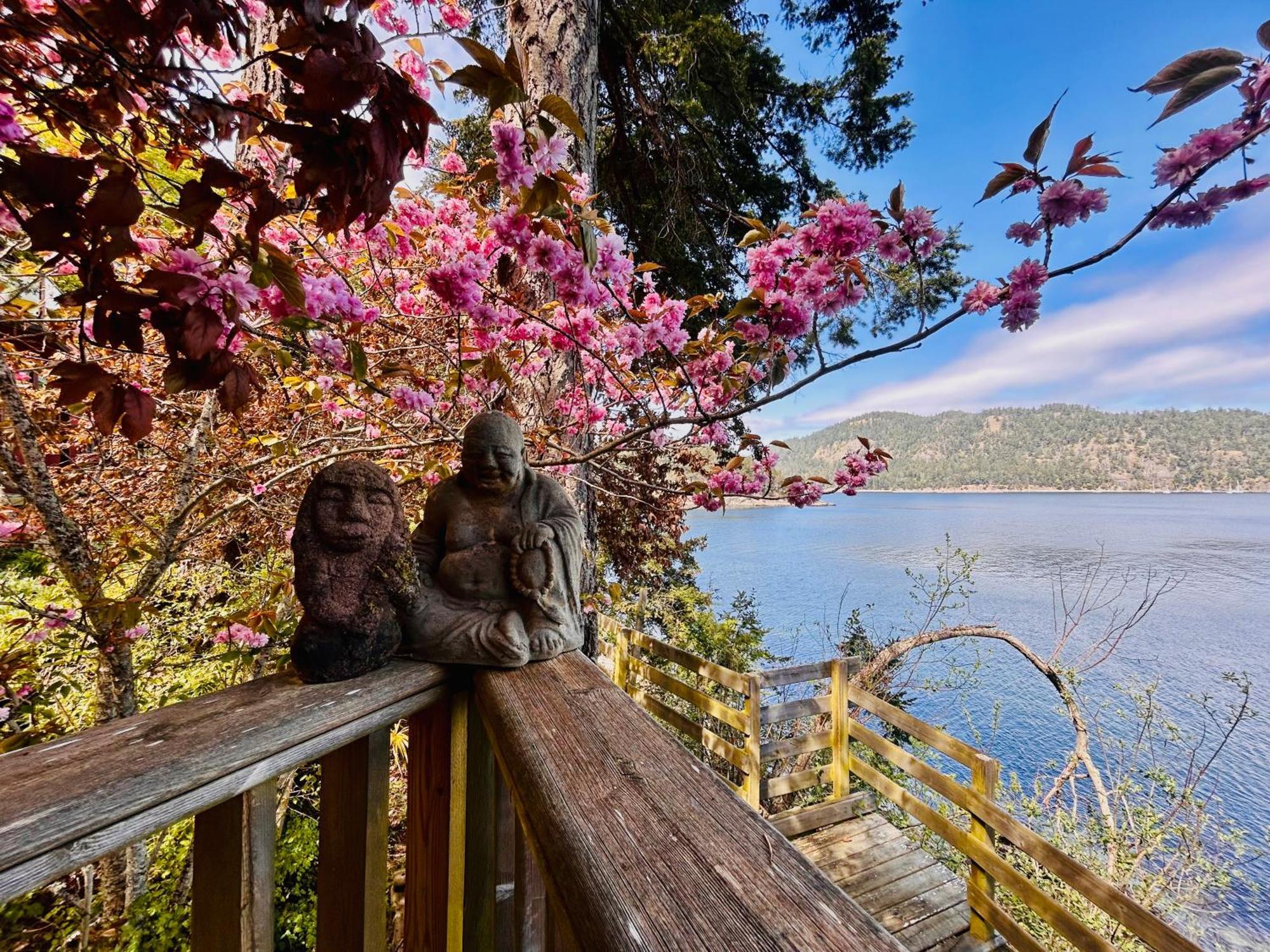 Bedwell Harbour Shangrila Waterfront Vacation Home מראה חיצוני תמונה